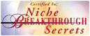 Niche Breakthrough Success